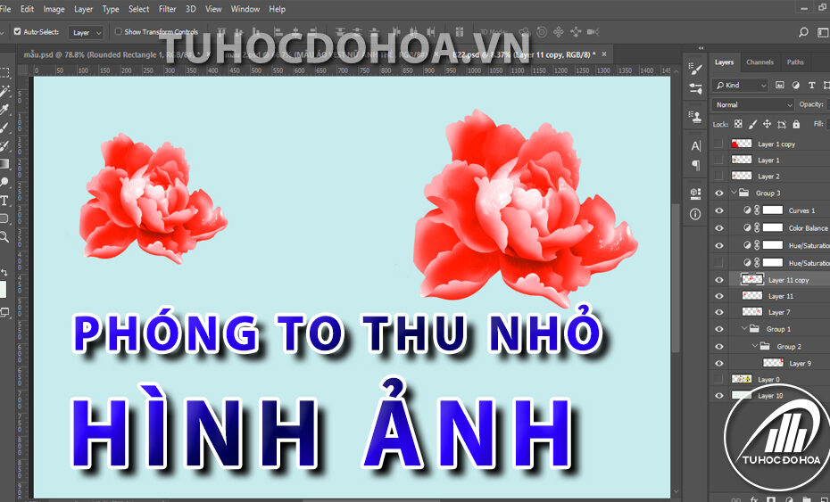 Phóng To Thu Nhỏ Hình Ảnh - Cách Zoom Hình Trong Photoshop