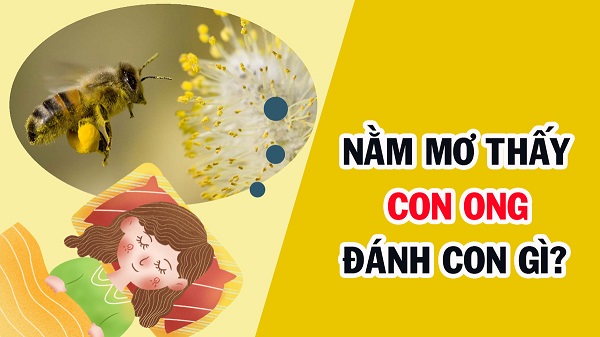 Con Ong Số Mấy? Số Đề Con Ong Đánh Là Trúng - Ngày Âm Lịch