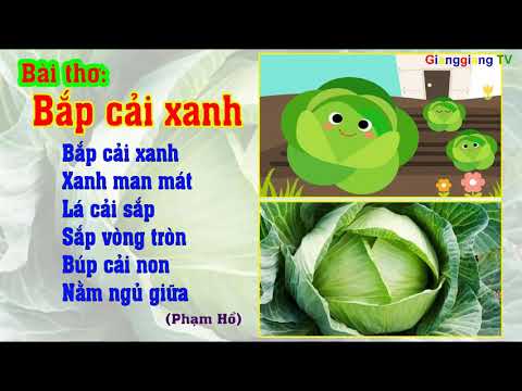 Bài Thơ Bắp Cải Xanh - Thơ Truyện Mầm Non - Đọc Thơ Cho Bé [ Gianggiangtv ]  - Youtube