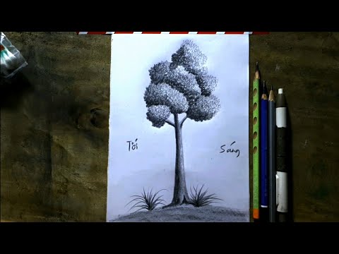 Hướng Dẫn Vẽ Cây Bằng Bút Chì Đơn Giản - Vẽ Phong Cảnh - Youtube