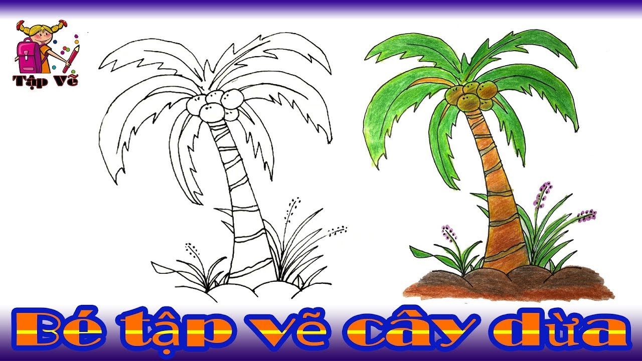 Bé Tập Vẽ Cây Dừa Theo Mẫu | Drawing Coconut Trees - Youtube