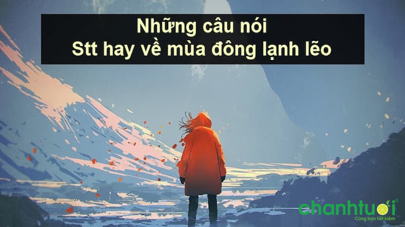 Stt Mùa Đông Hay: Những Nói, Cap, Tus, Lời Chào Đông Độc Đáo!