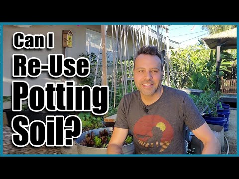 Can I Re-use Old Potting Soil in Containers? // How to Revitalize Old Potting Soil