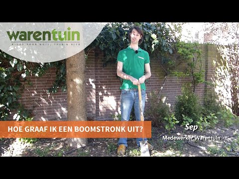 Hoe graaf ik een boomstronk uit? WARENTUIN