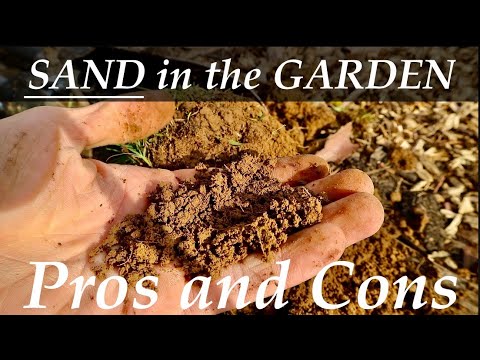 SAND in the GARDEN??  Pros and Cons