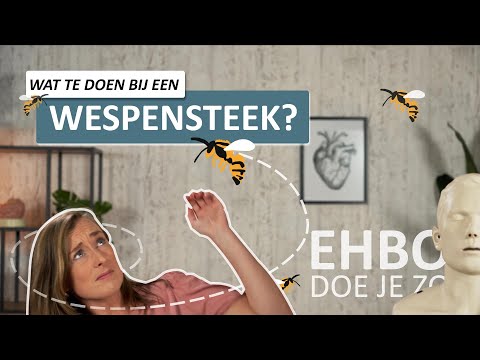 Wat te doen bij een wespensteek? 🐝 | EHBO doe je zo - Rode Kruis