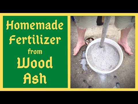 From The Ashes Comes Life Again - Homemade Fertilizer - Potassium / Calcium / Magnesium - Wood Ashes