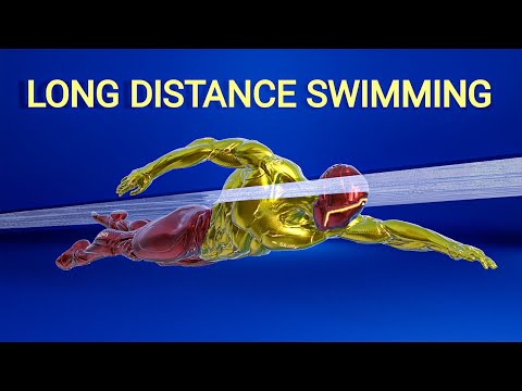 How fast can you swim for a long distance?