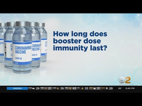 How Long Does Immunity From COVID Booster Shot Last?