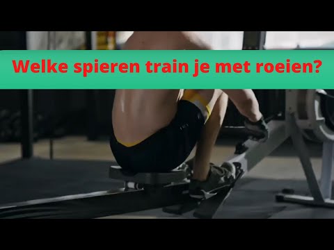 Welke Spieren Train Je Op de Roeitrainer?