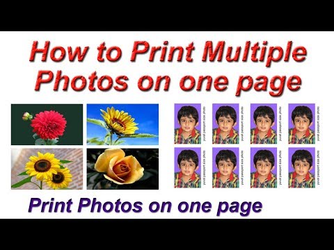 How to Print Multiple Photos on one page | Print Multiple Passport Size Photo one page (A4)