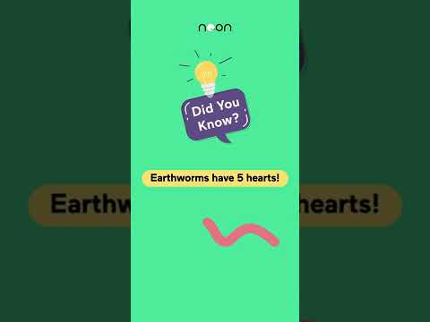 Fun fact : Earthworms can have 5 hearts! | Fun Facts | Noon