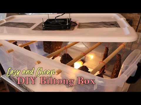 Easy & Cheap Way to Build a Biltong Box - Dry Curing Meat for Beginners