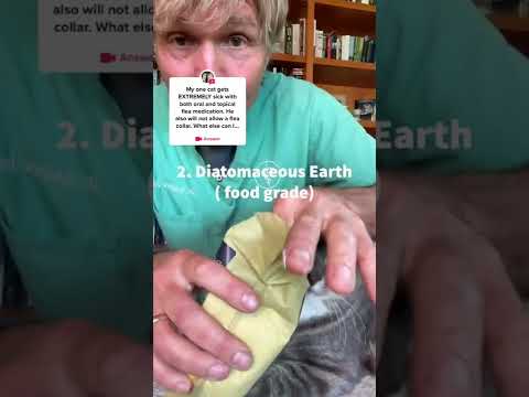 Cat reacts to Flea Medication: Try these Natural Remedies