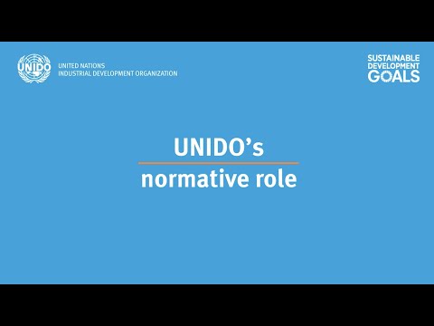 UNIDO's normative role