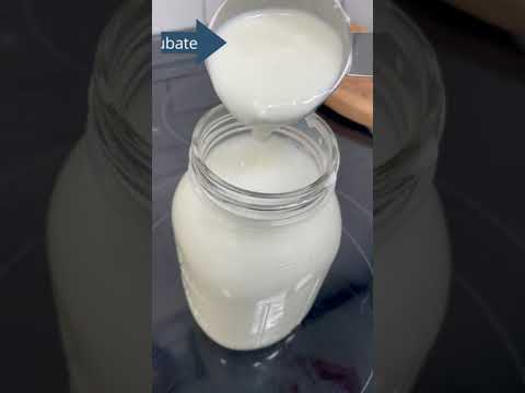 Greek Yogurt in 3 Easy Steps!