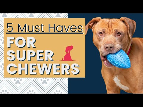 Super Chewer Dog Toys That Last