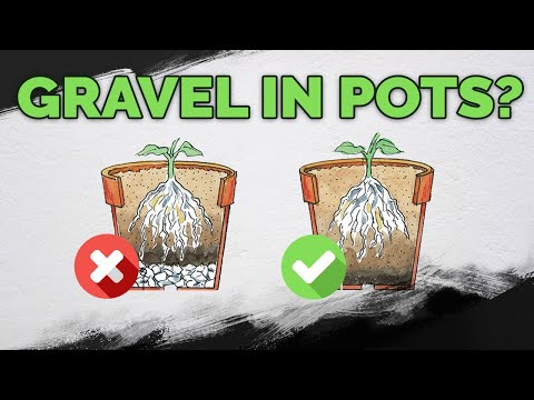 STOP Putting Gravel At The Bottom Of Your Pots!