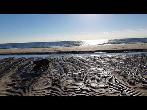 Roodepracht in Bergen aan Zee