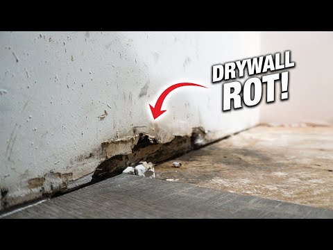 How To Fix Rotten Moldy Drywall From Water Damage! DIY For Beginners!