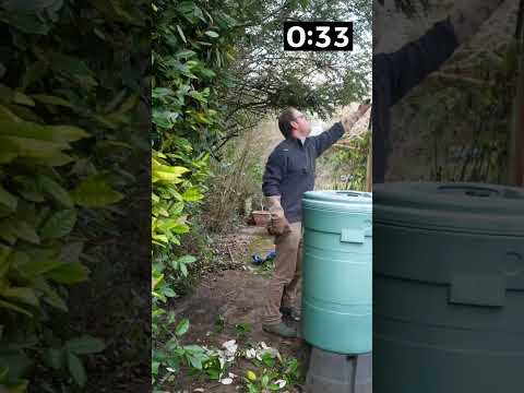 1 Minute Garden Spring Clean!