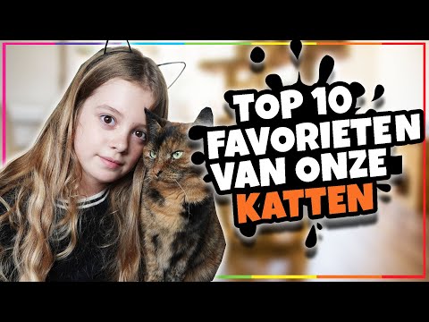 TOP 10 FAVORIETEN VAN ONZE KATTEN!! - Broer en Zus TV #392