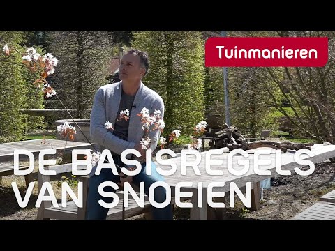 Snoeien van planten en struiken. Hoe doe je dat?  | Tuinmanieren