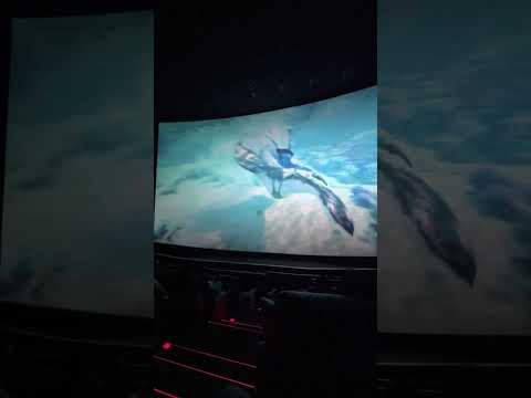 Avatar in IMAX 3D or 4DX?~Comment Down your Opinions